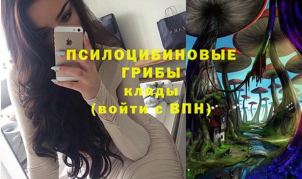 соль ск Балахна